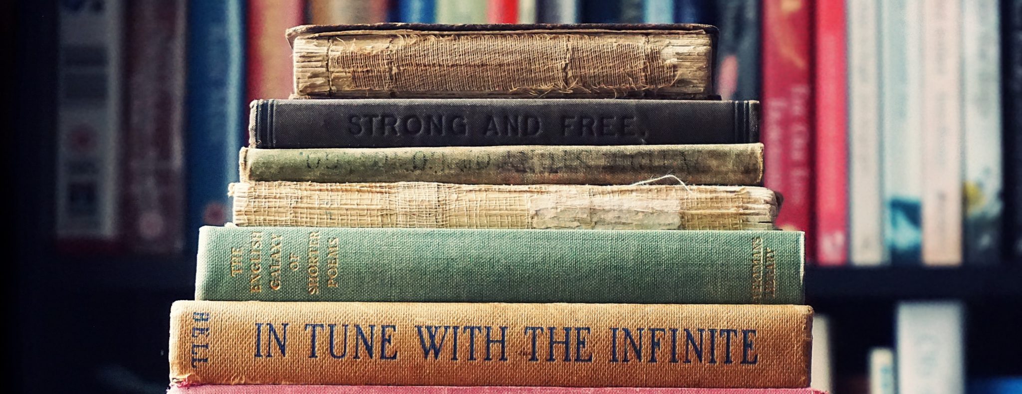 Тесто читать книгу